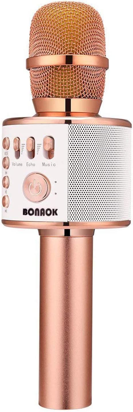 Karaoke Microphone