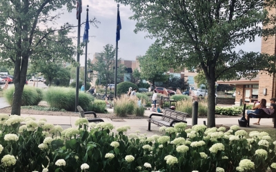 image of the library exterior with flowering bushes in the foreground and people enjoying the outside space in the background