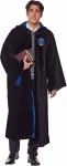 image of  man wearing Harry Potter Ravenclaw robe