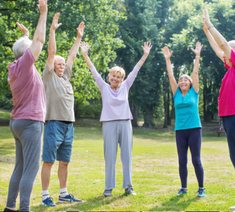 image of group of people outdoors in a yoga pose