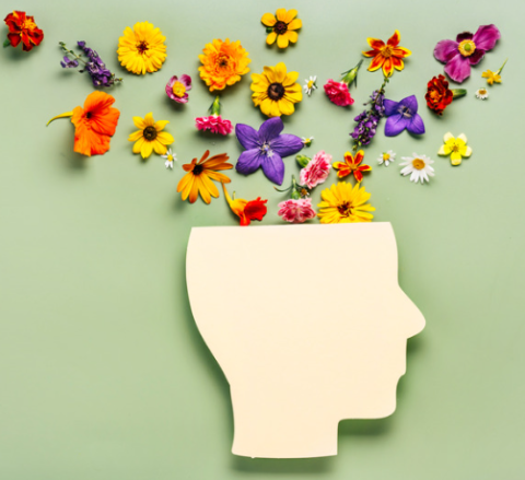 image of head silhouette with flowers coming out of the top