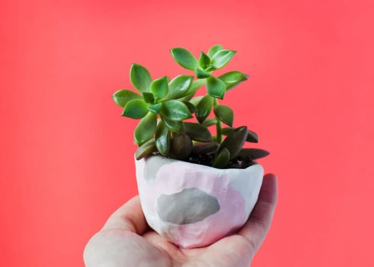 Mini clay planter